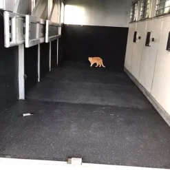 Rubber Floor Mats Colors 1/2 Inch X 4x6 Ft. - 10 Pack 16 Rubber Floor Mats Colors 1/2 Inch X 4x6 Ft. - 10 Pack -Greatmats Shop 4x6 eco rubber floor mats natural customer3.jpg