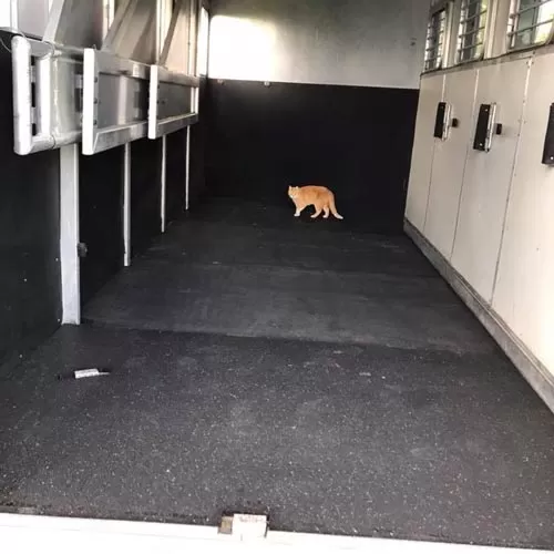 Rubber Floor Mats Colors 1/2 Inch X 4x6 Ft. - 10 Pack 8 Rubber Floor Mats Colors 1/2 Inch X 4x6 Ft. - 10 Pack - Image 6