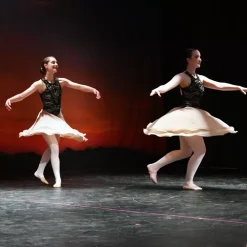 Rosco Adagio Marley Custom Cut Per LF