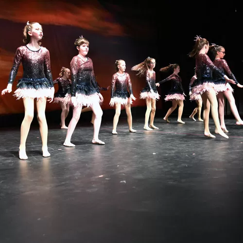 Rosco Adagio Touring Black Custom Cut Per LF 8 Rosco Adagio Touring Black Custom Cut Per LF - Image 6