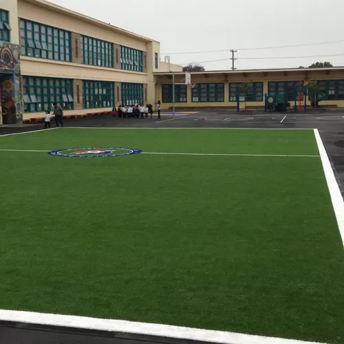 All Sport Artificial Grass Turf Roll 1/4 Inch X 15 Ft. Wide Per SF 4 All Sport Artificial Grass Turf Roll 1/4 Inch X 15 Ft. Wide Per SF - Image 2