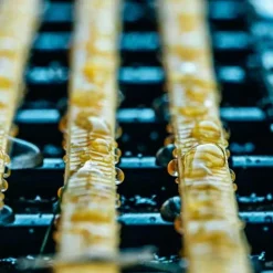 CrossLine Covid-19 Matting 3 X 80 Ft Roll -Greatmats Shop crossline distancing mat closeup.jpg