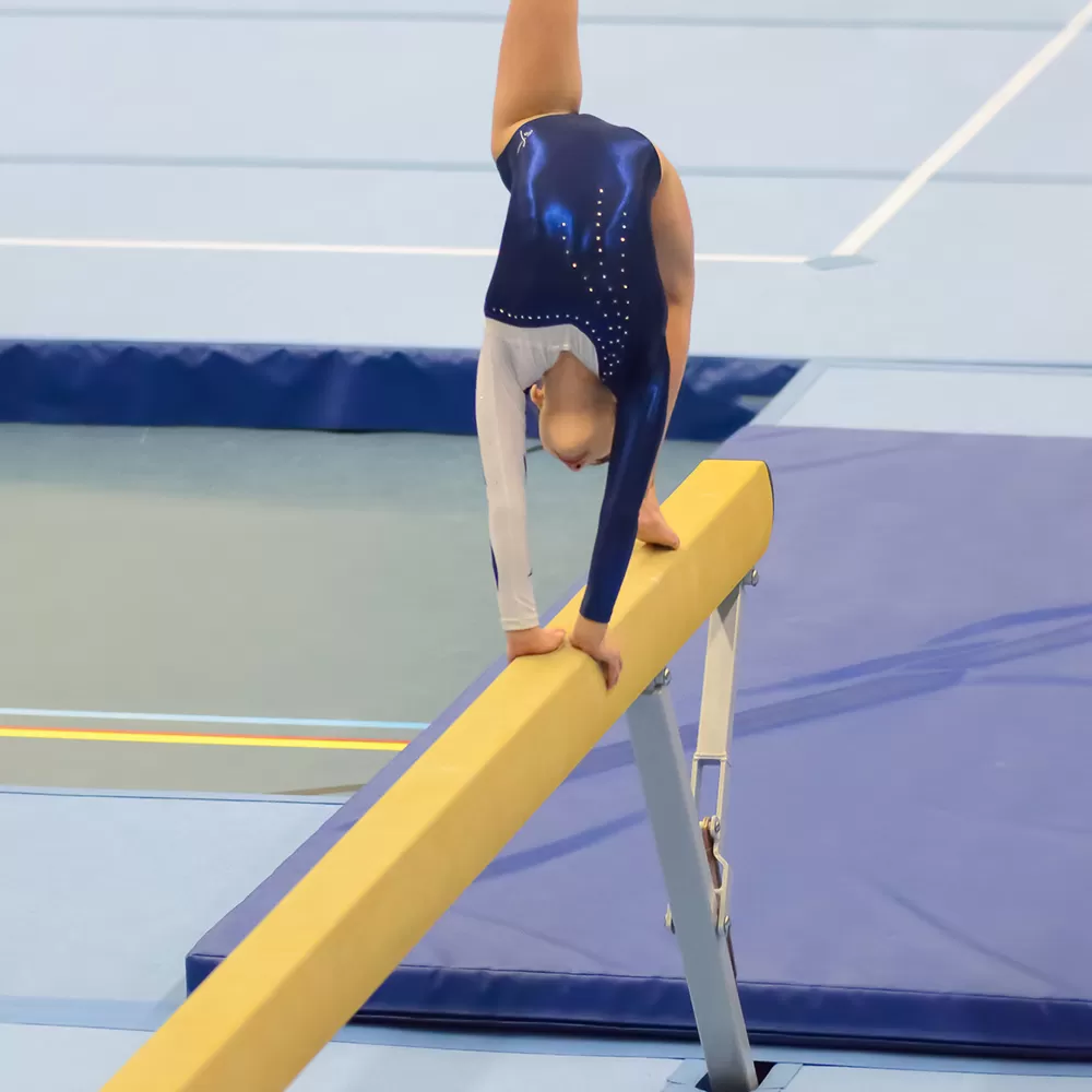 Gymnastics Competition Landing Mats Blue 7.5 X 5 Ft X 12 Cm Non-Fold 3 Gymnastics Competition Landing Mats Blue 7.5 X 5 Ft X 12 Cm Non-Fold