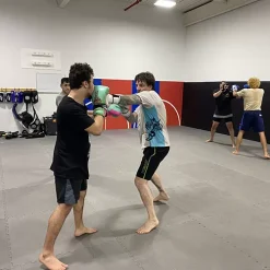 Jiu Jitsu Mats Interlocking 1-1/4 Inch X 1x1 Meter