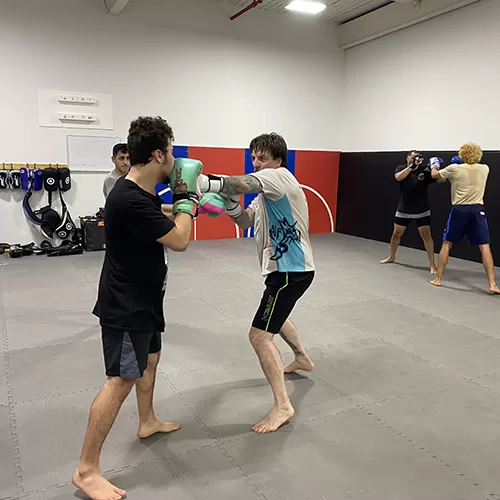 Jiu Jitsu Mats Interlocking 1-1/4 Inch X 1x1 Meter 3 Jiu Jitsu Mats Interlocking 1-1/4 Inch X 1x1 Meter