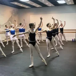 Rosco Adagio Marley Custom Cut Per LF -Greatmats Shop rosco adagio central oregon ballet.jpg