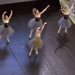 Greatmats Reversible Dance Roll Custom Black/Gray Per LF -Greatmats Shop st paul ballet moa 5.jpg