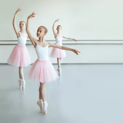 Greatmats Reversible Dance Full Roll Black/Gray 5.25 X 131 Ft. -Greatmats Shop three ballerinas gray marley.jpg