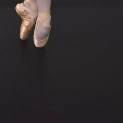 Vario 2.0 Dance Flooring 2 Mm X 5.25x49.2 Ft. -Greatmats Shop vario ballet marley pointe.jpg